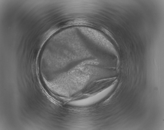 X0000055971082200509091438