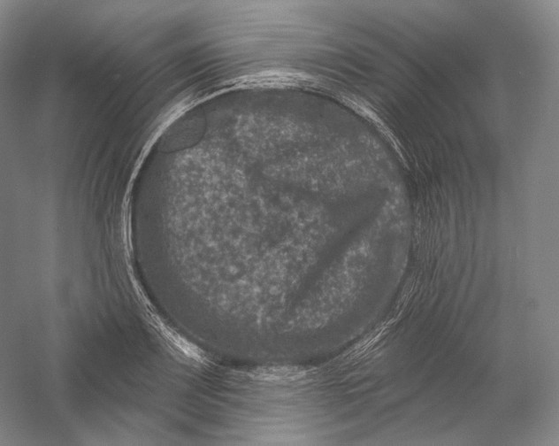 X0000055971083200509091438