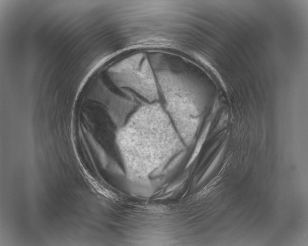 X0000055971085200509091438