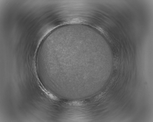 X0000055971086200509091438