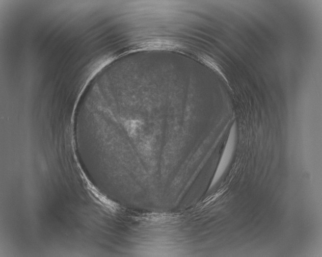 X0000055971087200509091438