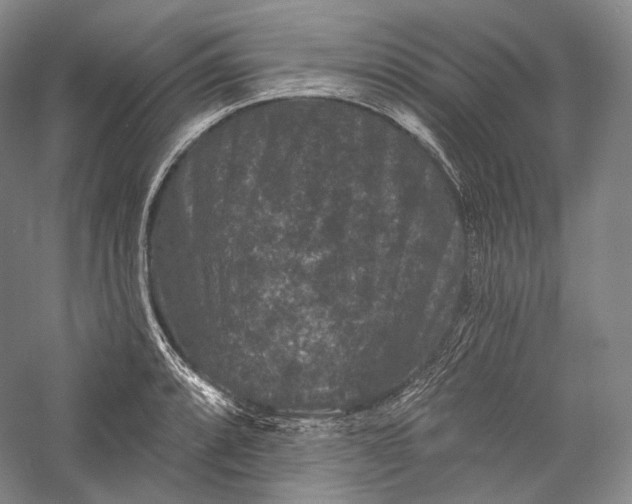 X0000055971088200509091438