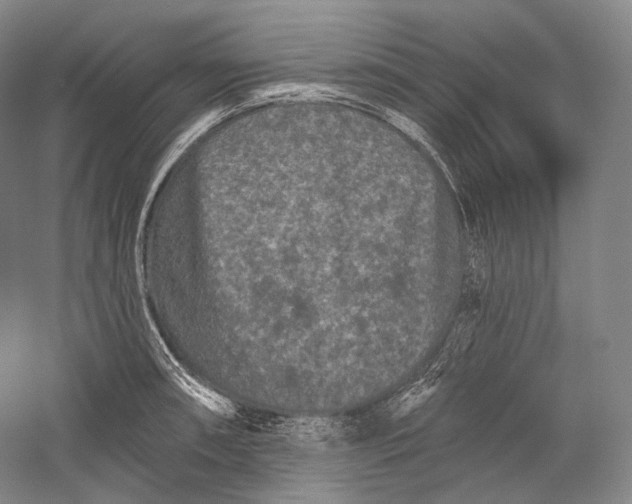 X0000055971090200509091437