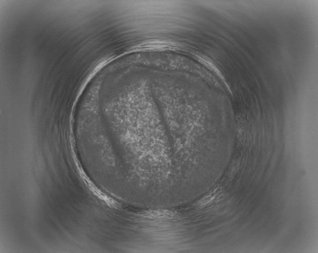 X0000055971091200509091437