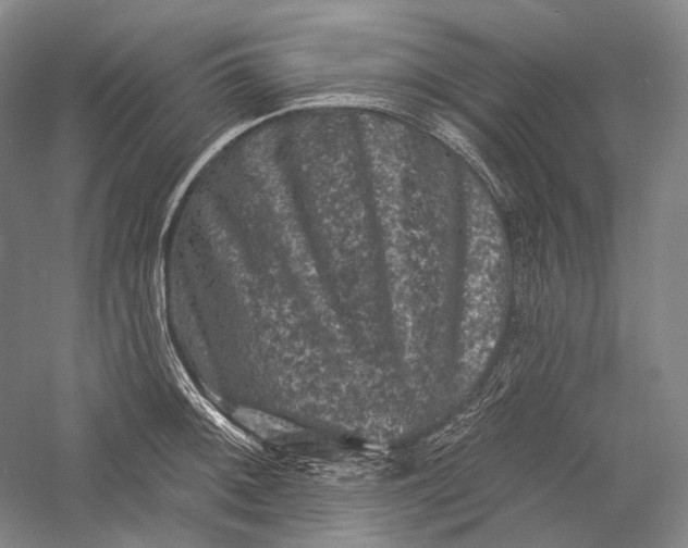 X0000055971092200509091437