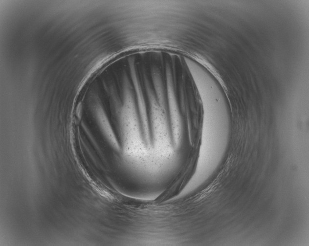 X0000055971093200509091437