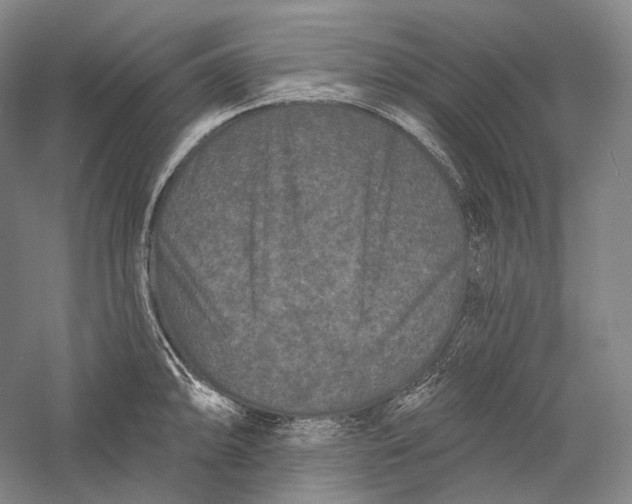 X0000055971094200509091437