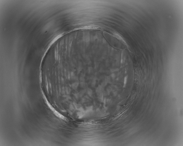 X0000055971095200509091437