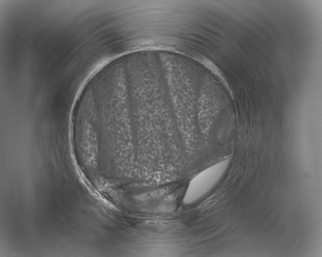 X0000055971096200509091437