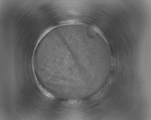 X0000055971098200509091437