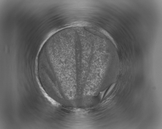 X0000055971099200509091437