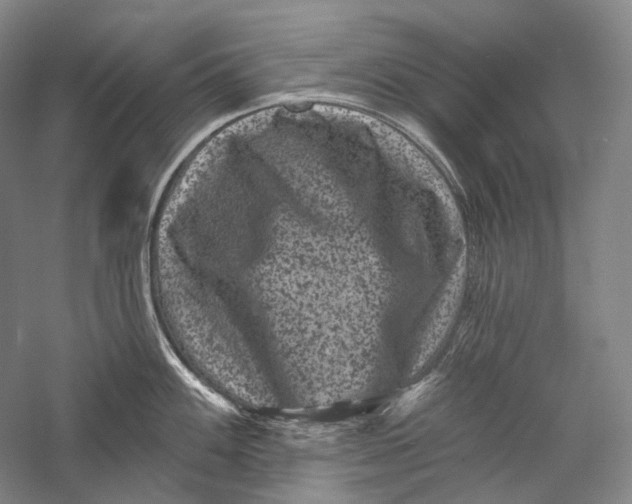 X0000055971100200509091437