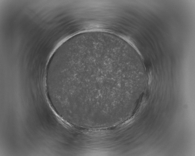 X0000055971101200509091437