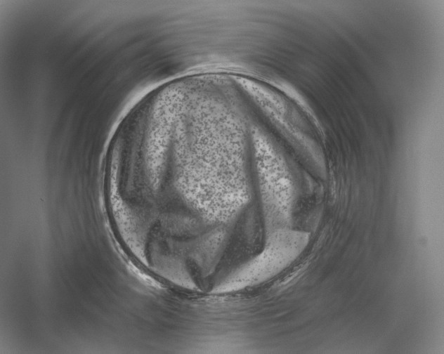 X0000055971102200509091437