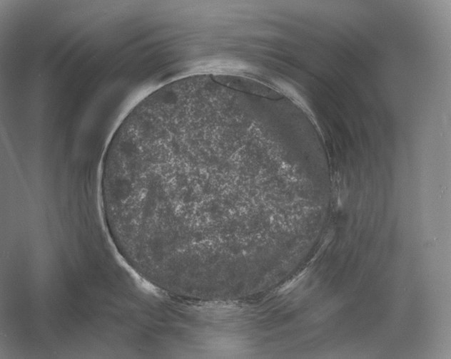 X0000055971103200509091437