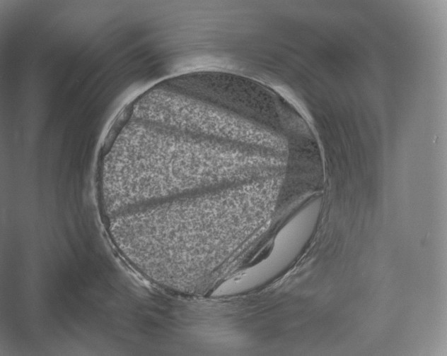 X0000055971104200509091437