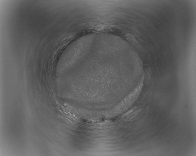 X0000055971105200509091436