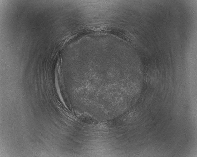 X0000055971106200509091436