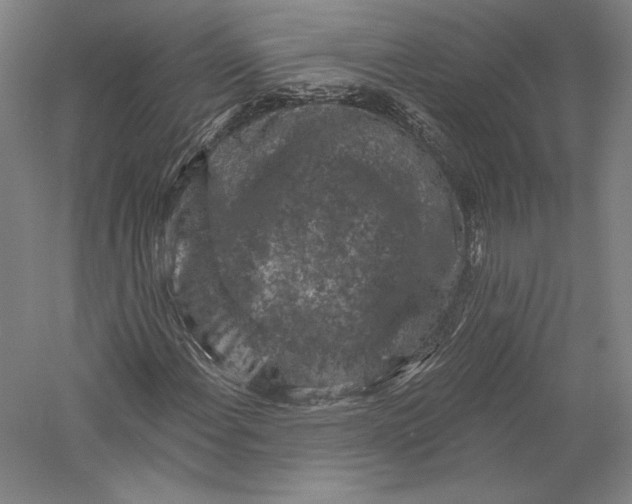 X0000055971108200509091436