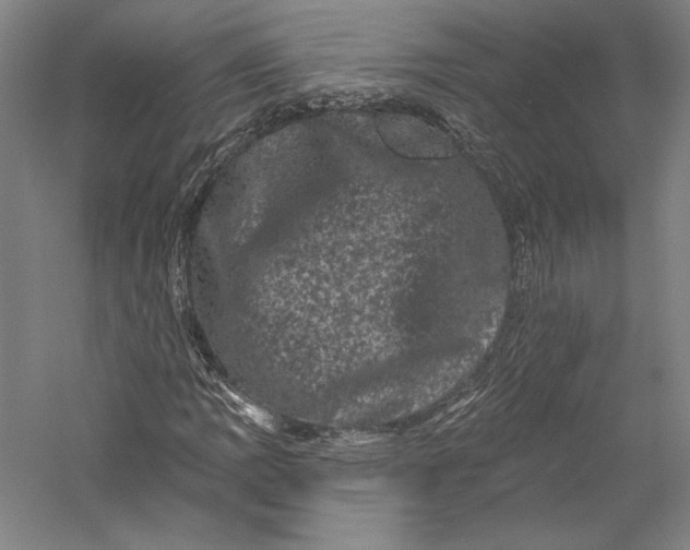 X0000055971109200509091437