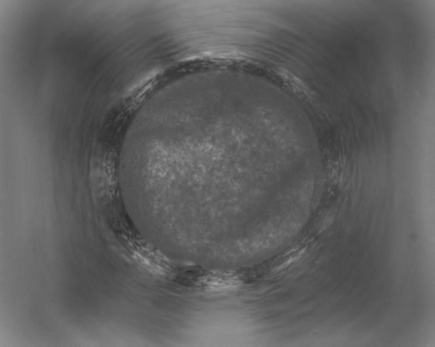 X0000055971110200509091437