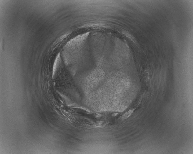 X0000055971111200509091437