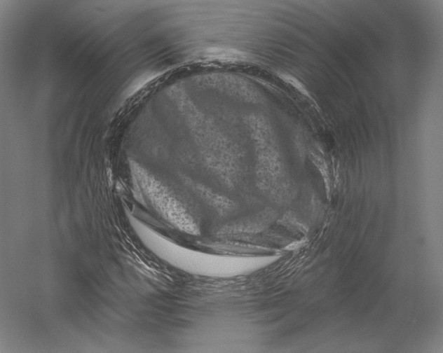 X0000055971112200509091437