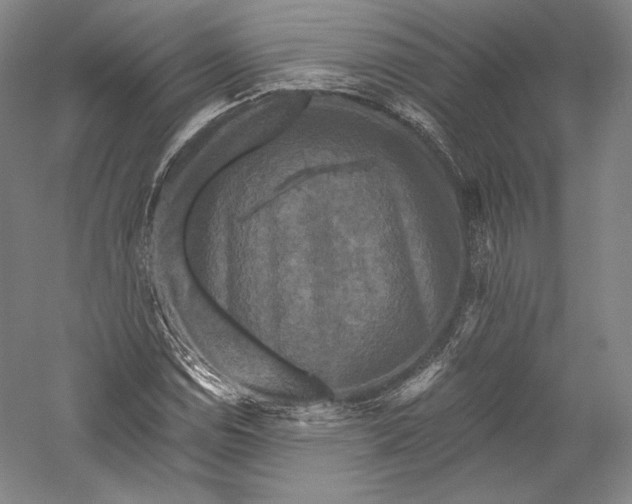 X0000055971114200509091437