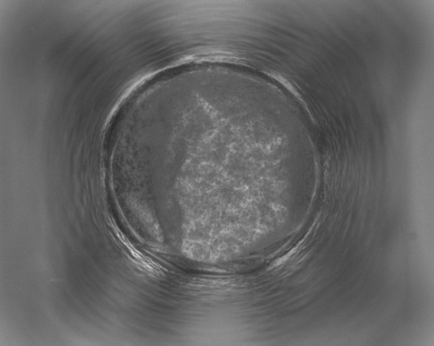 X0000055971115200509091437