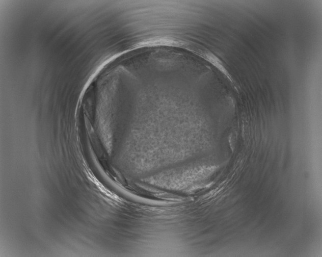 X0000055971116200509091437