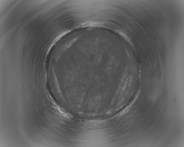 X0000055971117200509091437