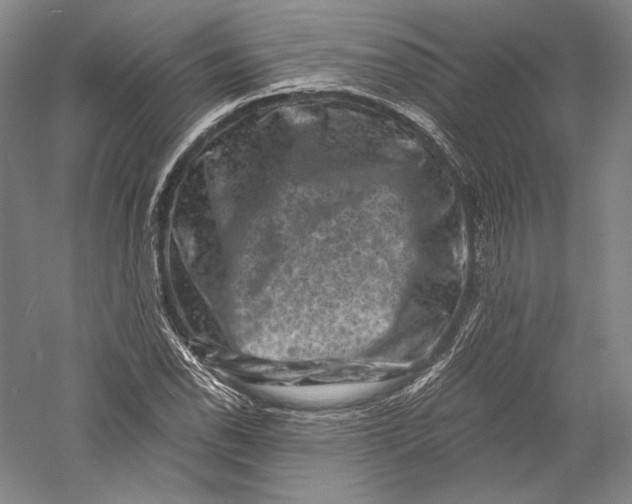 X0000055971118200509091437