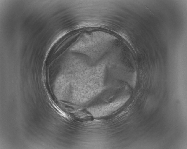 X0000055971119200509091437