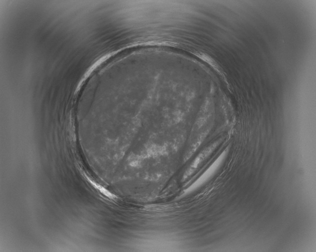 X0000055971120200509091437