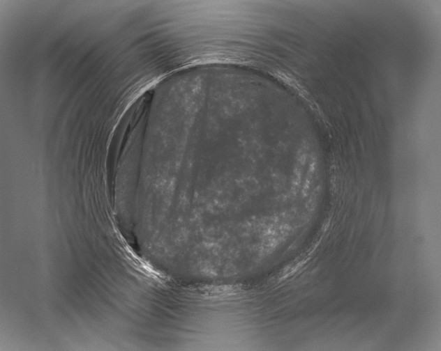 X0000055971121200509091437