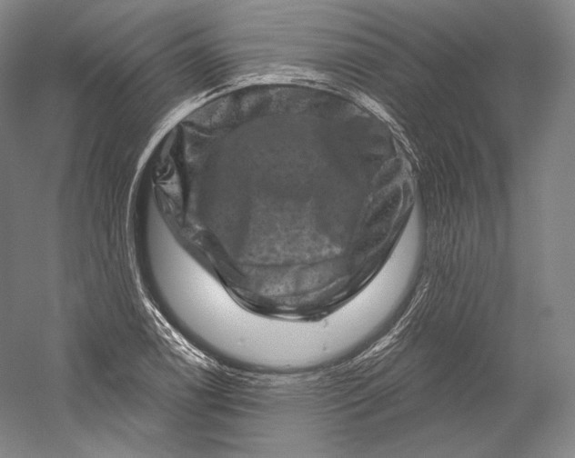 X0000055971122200509091437