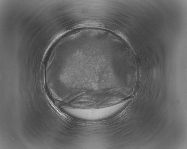 X0000055971123200509091437