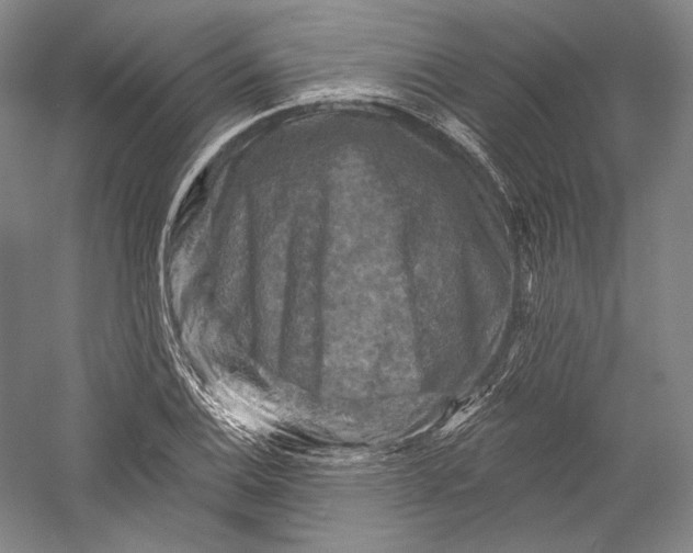 X0000055971124200509091437