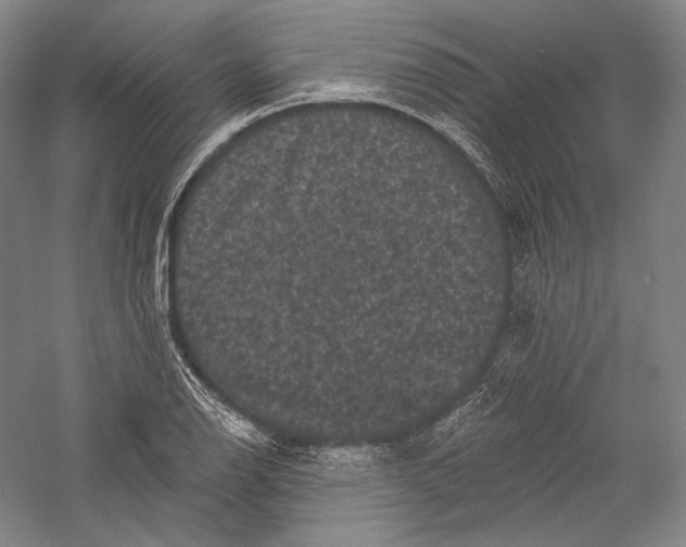 X0000055971126200509091437