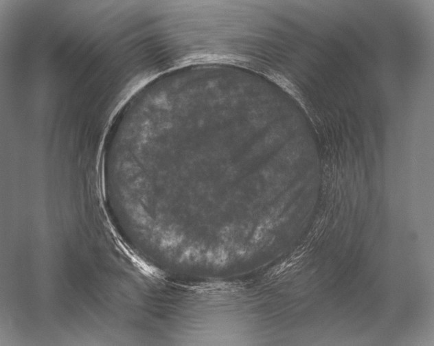 X0000055971127200509091437