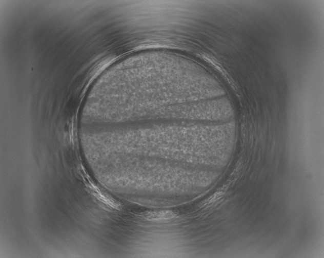 X0000055971129200509091437