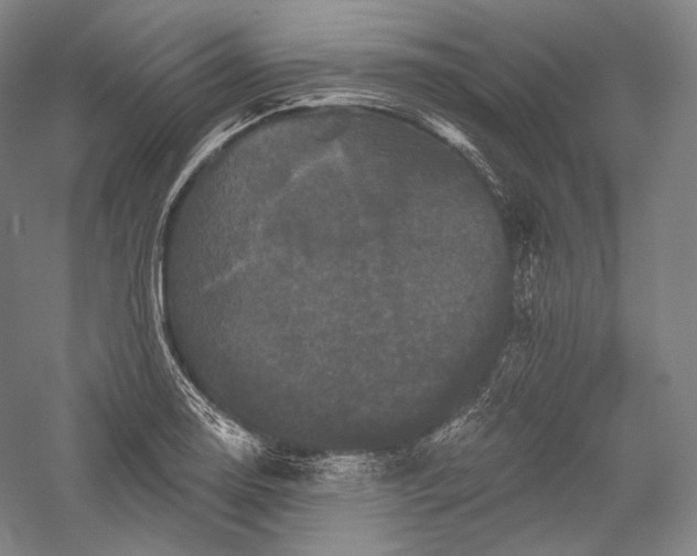 X0000055971130200509091437