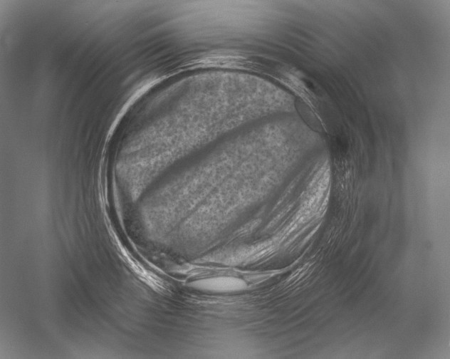 X0000055971131200509091437