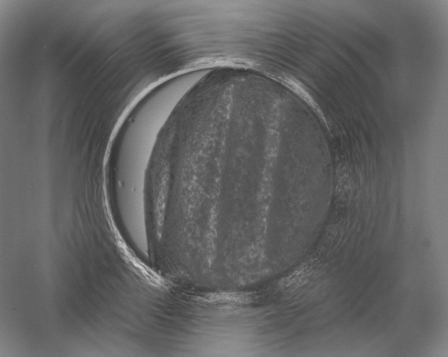 X0000055971132200509091437