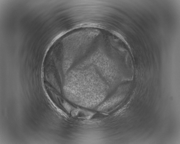 X0000055971133200509091437