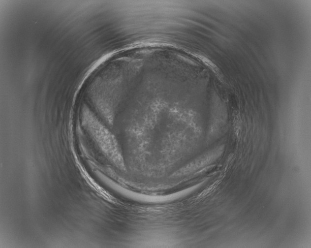 X0000055971134200509091437