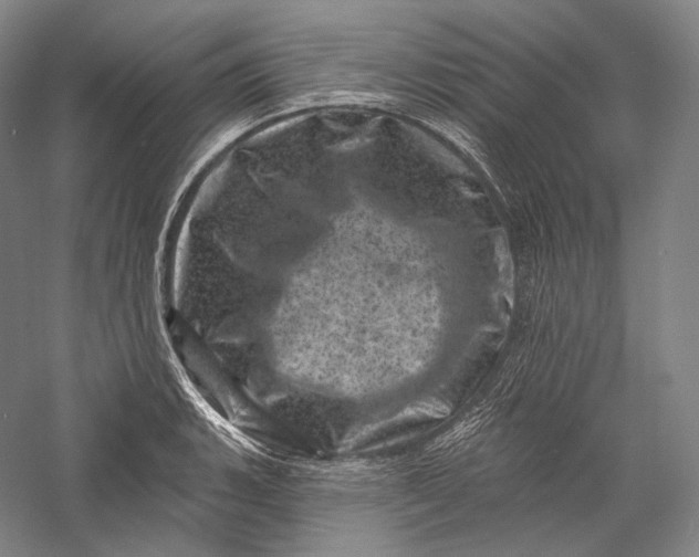 X0000055971135200509091437