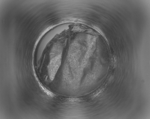 X0000055971136200509091437