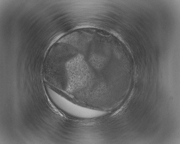 X0000055971137200509091437