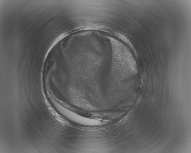 X0000055971138200509091437